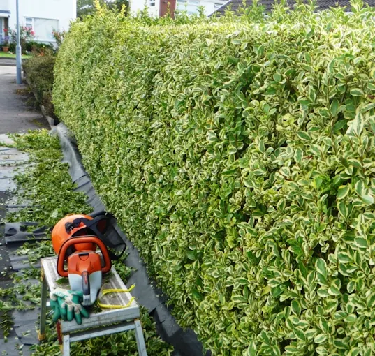 Fencing and garden services in Stirling area