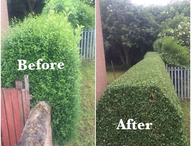 Completed garden fencing project in Stirling