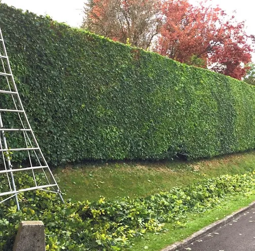 Garden project in Central Scotland by Forth Tree Garden Landscaping