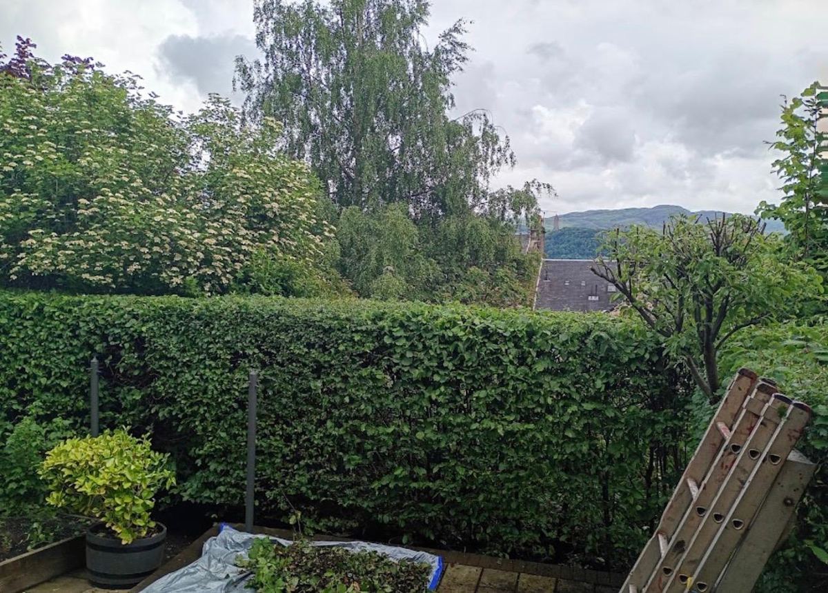 Freshly trimmed rear garden hedge with hills in the distance