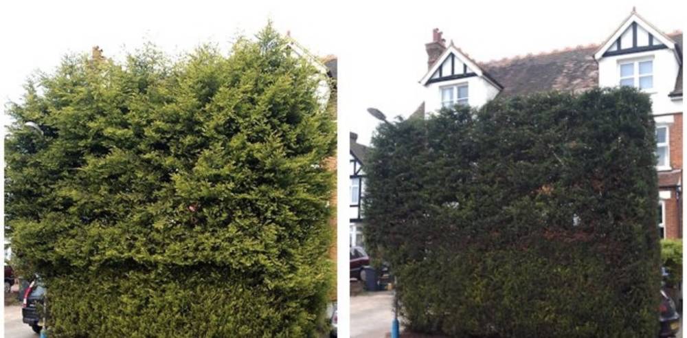 Overhead view of Indian sandstone patio with lawn and garden hose