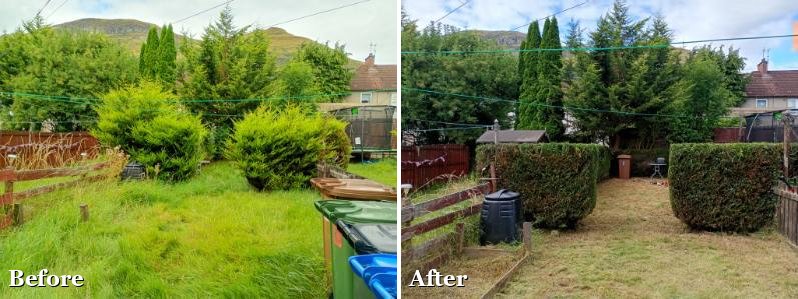 Overgrown rear garden before and after clearance