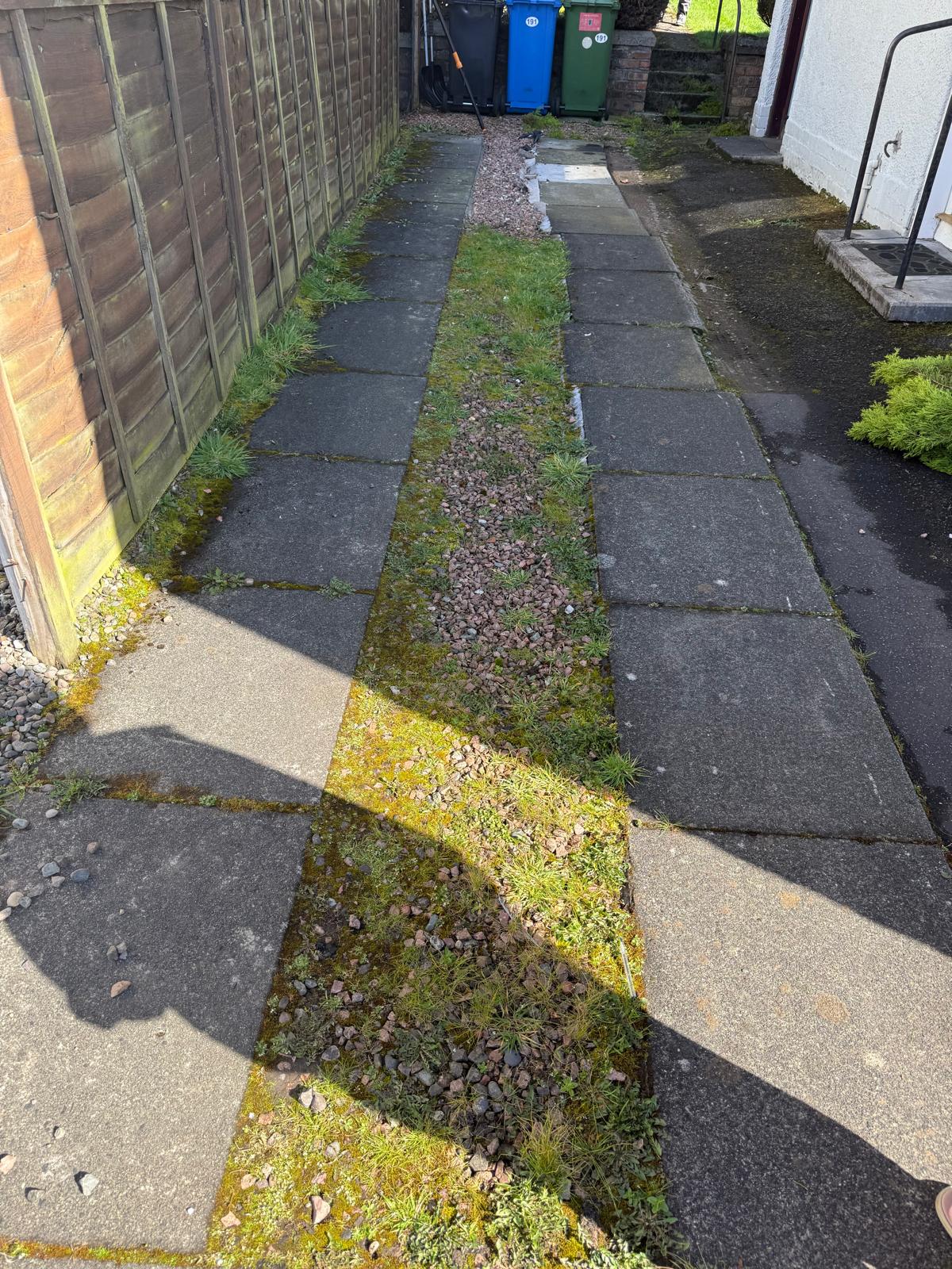 Side path before renovation showing mossy slabs and weeds