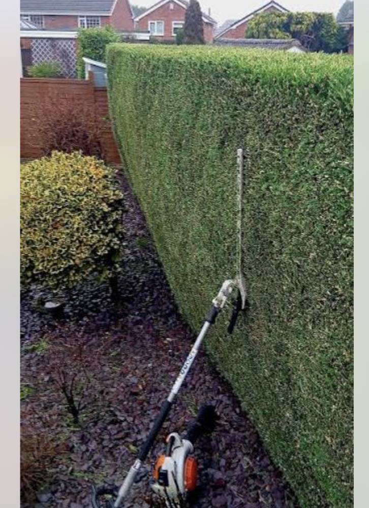 Professional hedge trimming with Stihl equipment